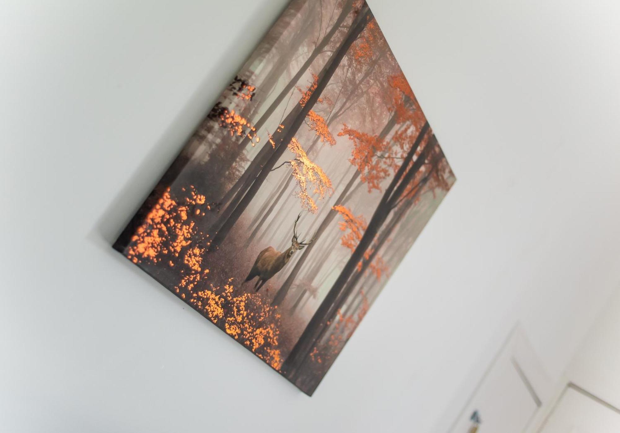 Albion By Klass Living *